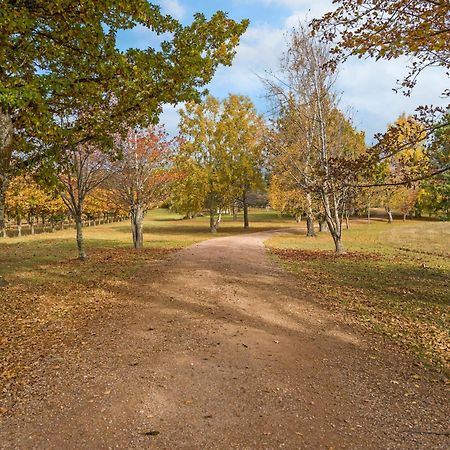 Blackwood Park Cottages Mole Creek Экстерьер фото