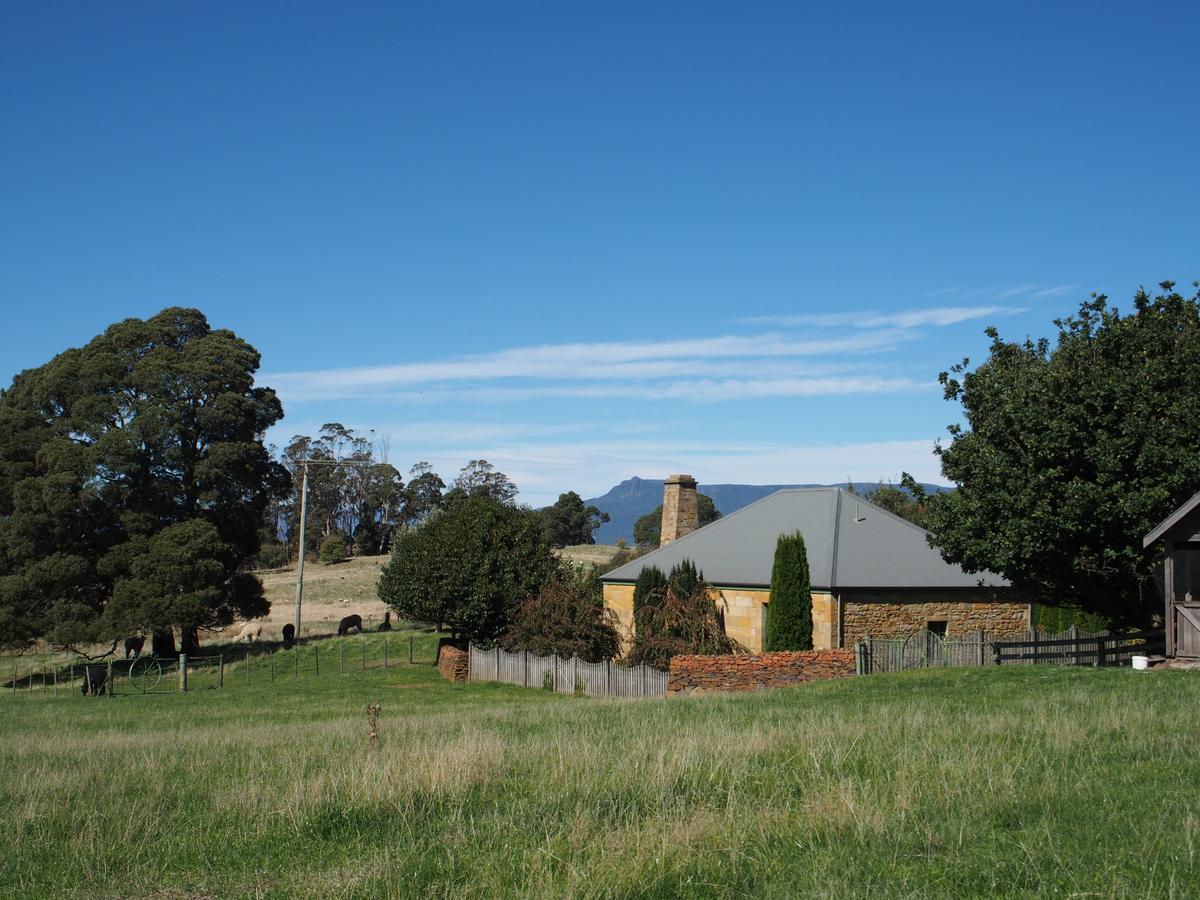 Blackwood Park Cottages Mole Creek Экстерьер фото